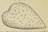 An illustration from Okodakigiye wakan wiwigawangapi iteowapi yukan (1896)