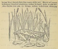 Picture 11 of 13 from Okodakigiye wakan wiwigawangapi iteowapi yukan (1896), leaf 74