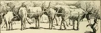 An illustration from Old Cape Colony; a chronicle of her men and houses from 1652-1806 (1903)