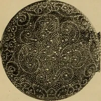 An illustration from Old clocks and watches & their makers : being an historical and descriptive account of the different styles of clocks and watches of the past, in England and abroad, to which is added a list of nearly twelve thousand makers (1922)