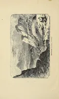 An illustration from The Old Colony railroad: its connections, popular resorts, and fashionable watering-places (1875)