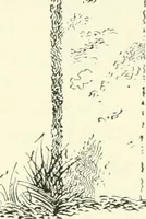 An illustration from Old Cornish crosses (1896)