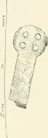 An illustration from Old Cornish crosses (1896)