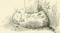 An illustration from Old Cornish crosses (1896)