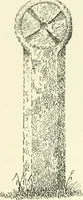 An illustration from Old Cornish crosses (1896)