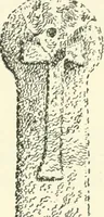 An illustration from Old Cornish crosses (1896)