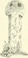 An illustration from Old Cornish crosses (1896)