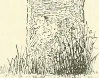 An illustration from Old Cornish crosses (1896)