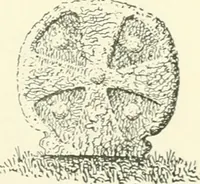 An illustration from Old Cornish crosses (1896)
