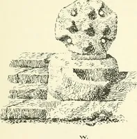 An illustration from Old Cornish crosses (1896)