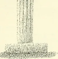An illustration from Old Cornish crosses (1896)
