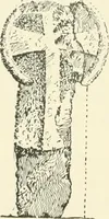 An illustration from Old Cornish crosses (1896)