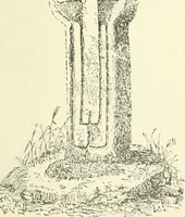 An illustration from Old Cornish crosses (1896)