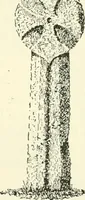 An illustration from Old Cornish crosses (1896)