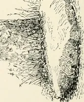 An illustration from Old Cornish crosses (1896)