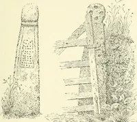 An illustration from Old Cornish crosses (1896)