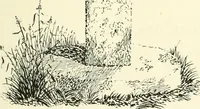 An illustration from Old Cornish crosses (1896)