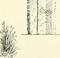 An illustration from Old Cornish crosses (1896)