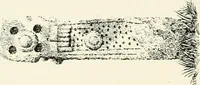 An illustration from Old Cornish crosses (1896)