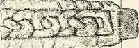 An illustration from Old Cornish crosses (1896)