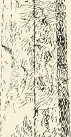 An illustration from Old Cornish crosses (1896)
