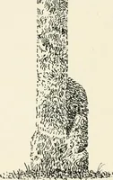 An illustration from Old Cornish crosses (1896)