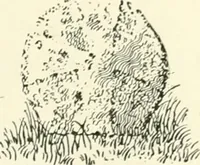 An illustration from Old Cornish crosses (1896)