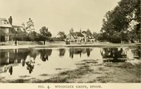 Picture 3 of 220 from Old cottages & farm-houses in Surrey / illustrated on one hundred collotype plates from photographs specially taken by W. Galsworthy Davie, with an introduction and numerous sketches by W. Curtis Green (1908), leaf 21