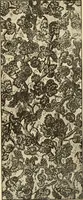 An illustration from Old English embroidery : its technique and symbolism (1894)