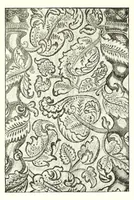 An illustration from Old English embroidery; its technique and symbolism (1894)