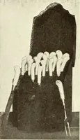 Picture 135 of 205 from Old English furniture and its surroundings, from the restoration to the regency (1920), leaf 209