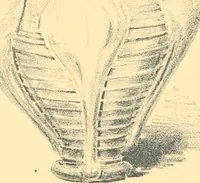 Picture 54 of 127 from Old English glasses. An account of glass drinking vessels in England, from early times to the end of the eighteenth century. With introductory notices, original documents, etc (1897), leaf 183