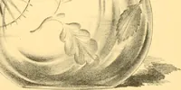 An illustration from Old English glasses. An account of glass drinking vessels in England, from early times to the end of the eighteenth century. With introductory notices, original documents, etc (1897)