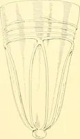An illustration from Old English glasses. An account of glass drinking vessels in England, from early times to the end of the eighteenth century. With introductory notices, original documents, etc (1897)