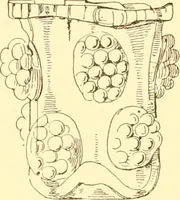 An illustration from Old English glasses. An account of glass drinking vessels in England, from early times to the end of the eighteenth century. With introductory notices, original documents, etc (1897)
