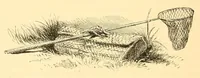 Picture 3 of 13 from An older form of the treatyse of fysshynge wyth an angle (1883), leaf 72
