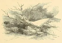 An illustration from An older form of the treatyse of fysshynge wyth an angle (1883)
