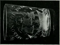 Picture 36 of 62 from Old glass and how to collect it (1900), leaf 160