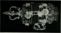 Picture 5 of 62 from Old glass and how to collect it (1900), leaf 56