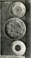 An illustration from Old Hyderabad China : (history, legend, and characteristics) (1916)
