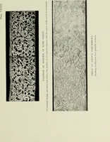 An illustration from Old lace : a handbook for collectors; an account of the different styles of lace, their history, characteristics & manufacture (1908)