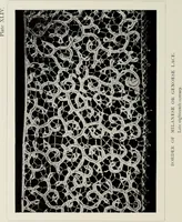 An illustration from Old lace : a handbook for collectors; an account of the different styles of lace, their history, characteristics & manufacture (1908)