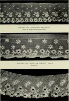 An illustration from Old lace : a handbook for collectors; an account of the different styles of lace, their history, characteristics & manufacture (1908)