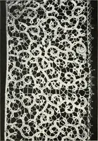 An illustration from Old lace, a handbook for collectors; an account of the different styles of lace, their history, characteristics & manufacture (1909)