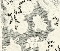 An illustration from Old lace, a handbook for collectors; an account of the different styles of lace, their history, characteristics & manufacture (1909)