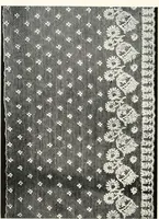 An illustration from Old lace, a handbook for collectors; an account of the different styles of lace, their history, characteristics & manufacture (1909)