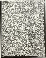 An illustration from Old lace, a handbook for collectors; an account of the different styles of lace, their history, characteristics & manufacture (1909)