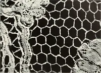 An illustration from Old lace, a handbook for collectors; an account of the different styles of lace, their history, characteristics & manufacture (1909)