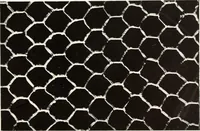 An illustration from Old lace, a handbook for collectors; an account of the different styles of lace, their history, characteristics & manufacture (1909)