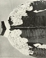 Picture 109 of 130 from Old lace, a handbook for collectors; an account of the different styles of lace, their history, characteristics & manufacture (1909), leaf 262